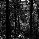 IMG_4609 - Version 2 (1)
